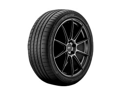 225/40 R18 92Y BRIDGESTONE POTENZA S005 XL