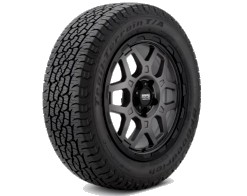 255/55 R19 111H B.F.GOODRICH TRAIL TERRAIN TA XL