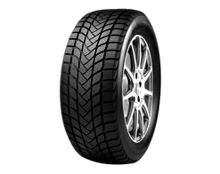 195/55 R15 85H MASTERSTEEL WINTPL1 TL