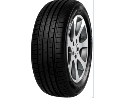 215/65 R16 98H MINERVA F209