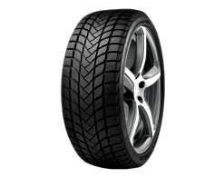 245/45 R19 102V LANDSAIL LSWWINTER TL