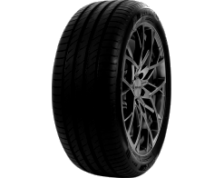 205/50 R16 87W DELINTE DS2 TL
